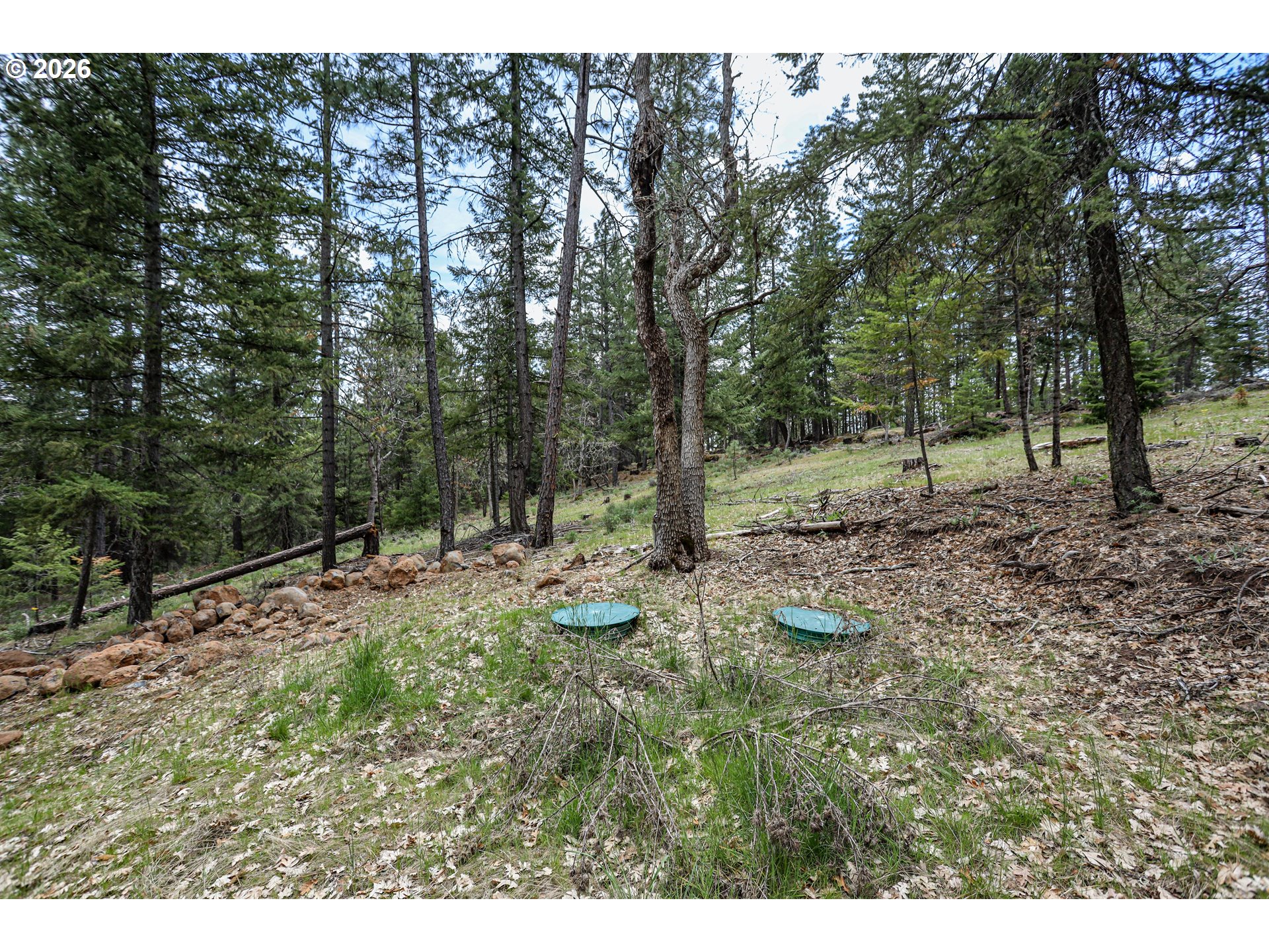29 Weona Road Goldendale, WA 98620 - Photo 20 of 23 a view of a forest filled with trees