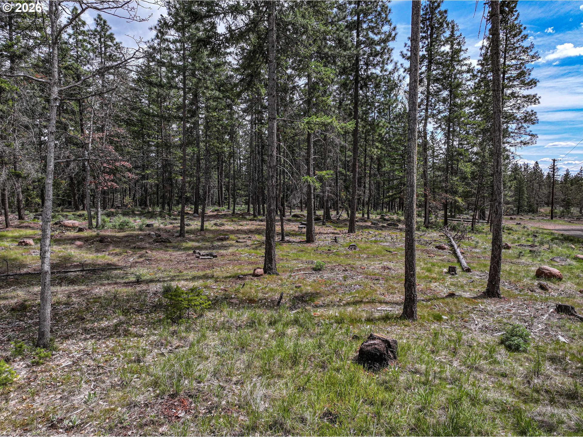 29 Weona Road Goldendale, WA 98620 - Photo 21 of 23 a view of outdoor space with trees