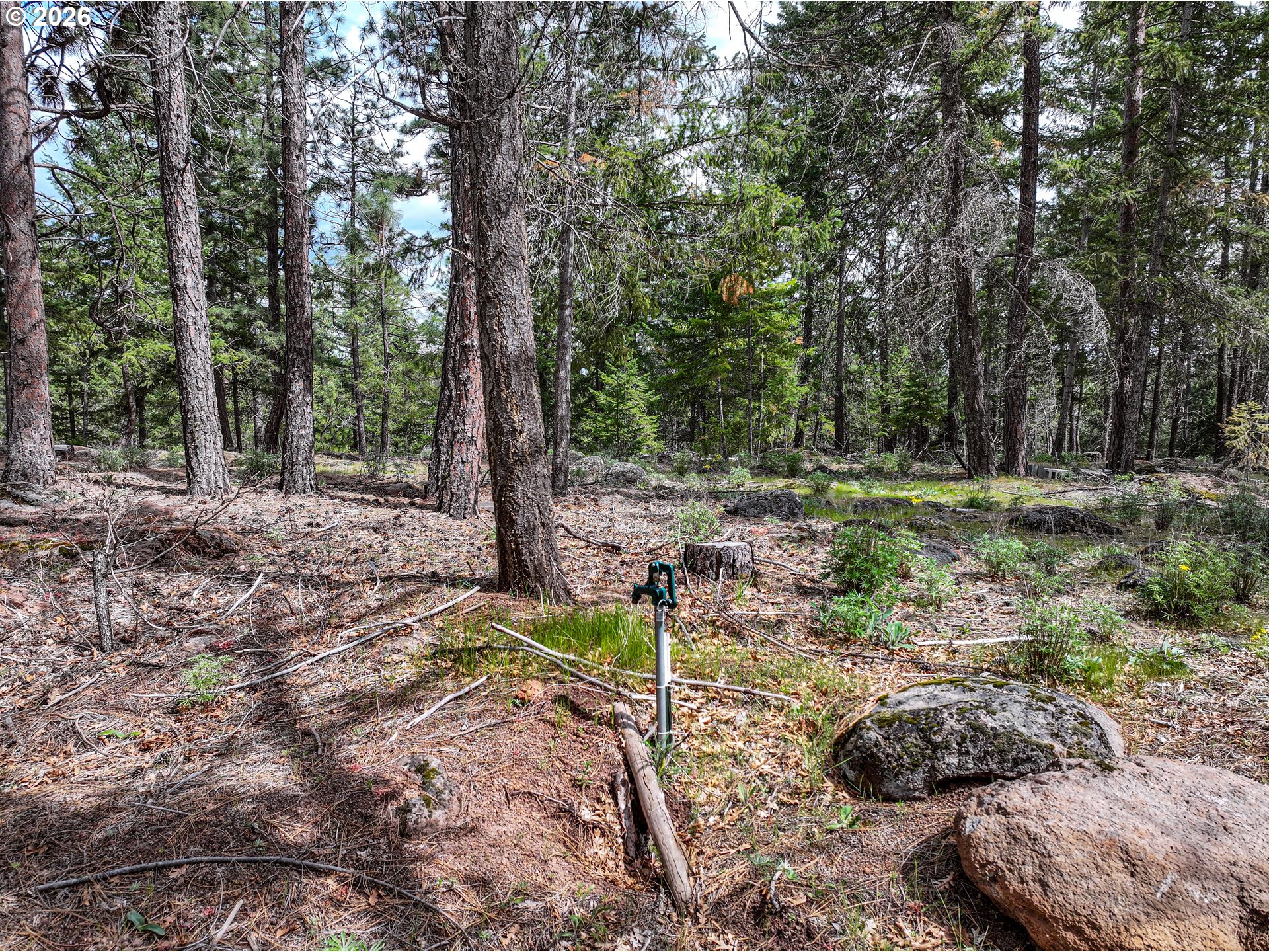 29 Weona Road Goldendale, WA 98620 - Photo 23 of 23 a view of a backyard with trees