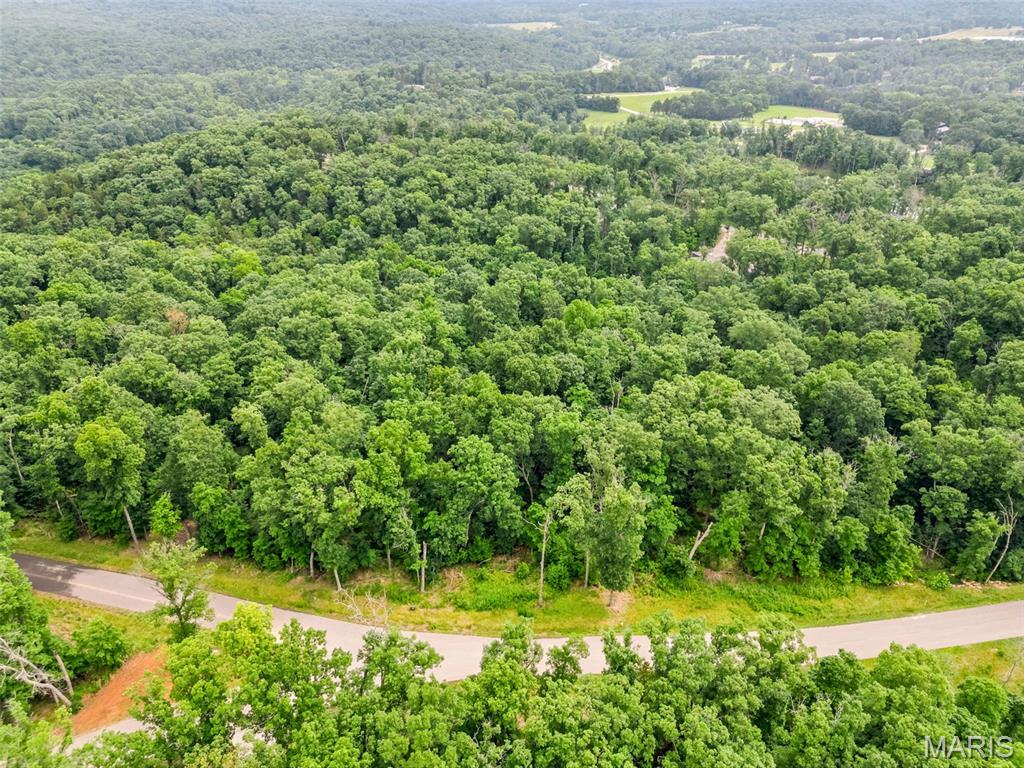 2835 Tyrolean Way Drive Innsbrook, MO 63390 - Photo 7 of 9