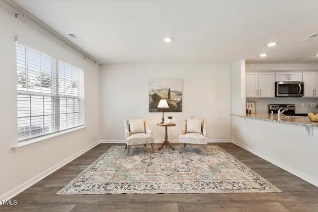 a living room with furniture and a rug