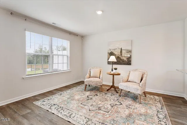 a living room with furniture and a rug