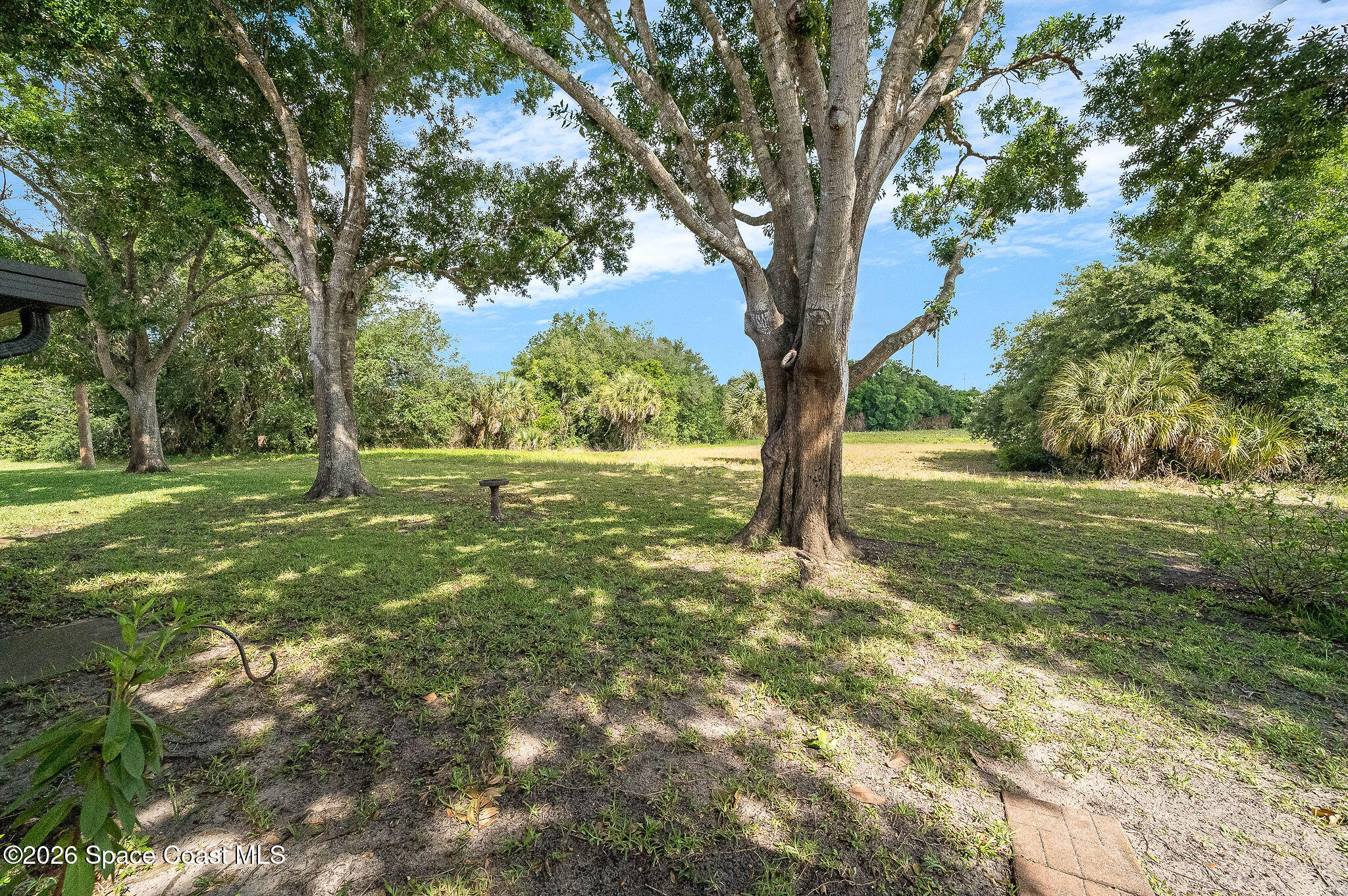 4304 London Town Road, Unit D224 Titusville, FL 32796 - Photo 25 of 32 a view of outdoor space with trees all around