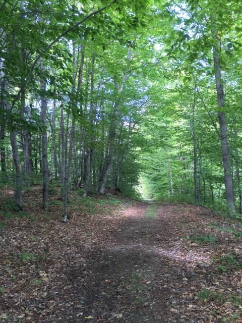 0 Rowell Mountain Road Solon, ME 04979 - Photo 5 of 6 Photo