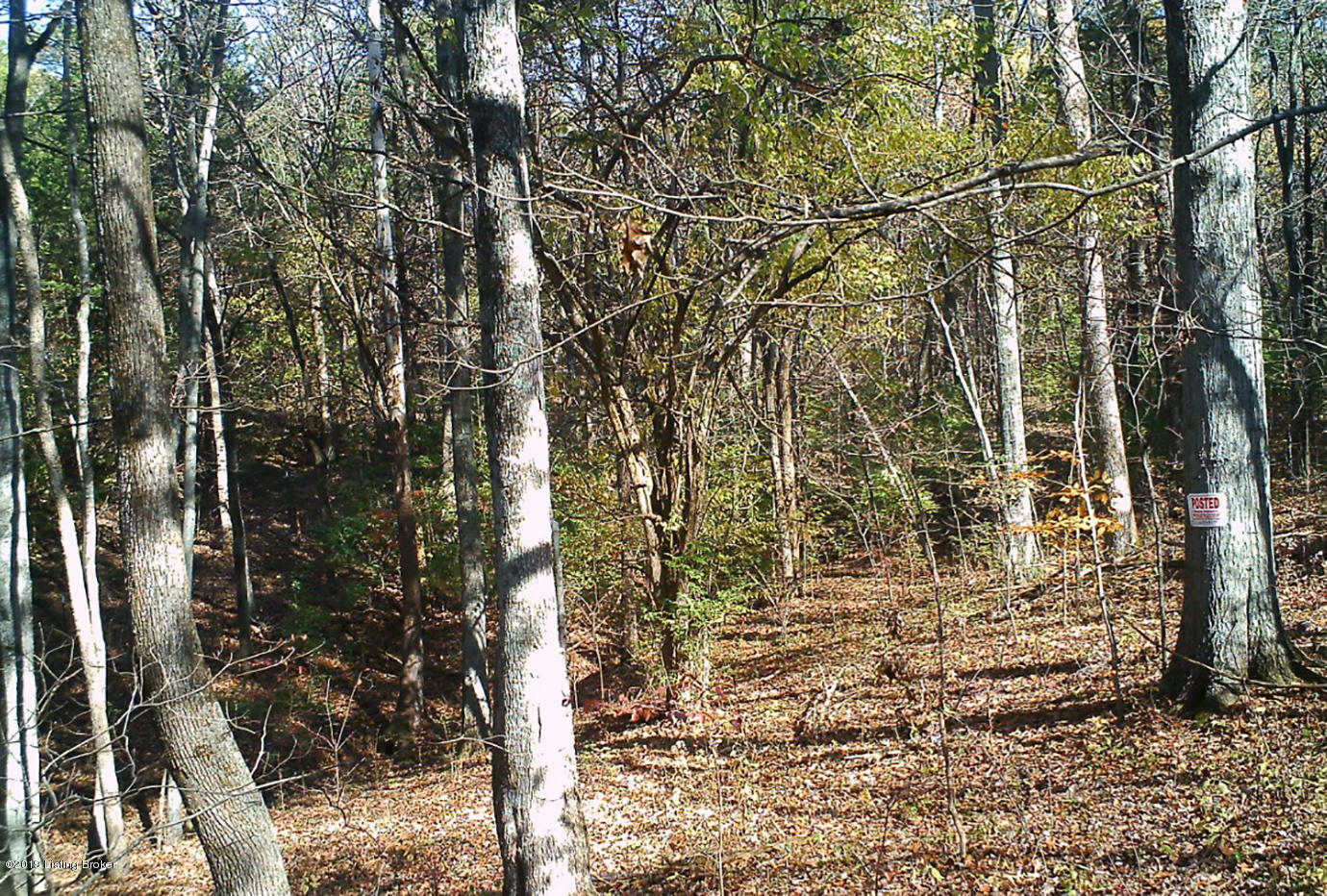 6019 Chenoweth Run Road Louisville, KY 40299 - Photo 7 of 23 6019-1 - Copy