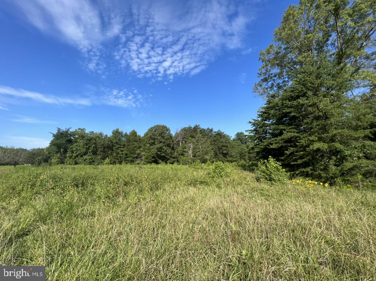 7078 Stubbs Bridge Road Spotsylvania, VA 22551 - Photo 1 of 7 5.17 Acres close to Lake Anna State Park
