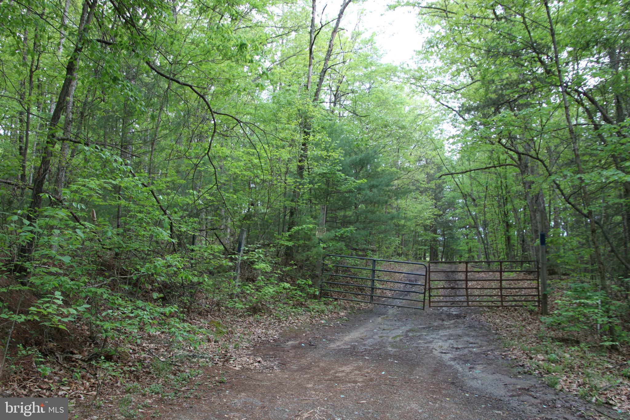 Slabtown Road Hancock, MD 21750 - Photo 14 of 20 a view of a backyard with trees