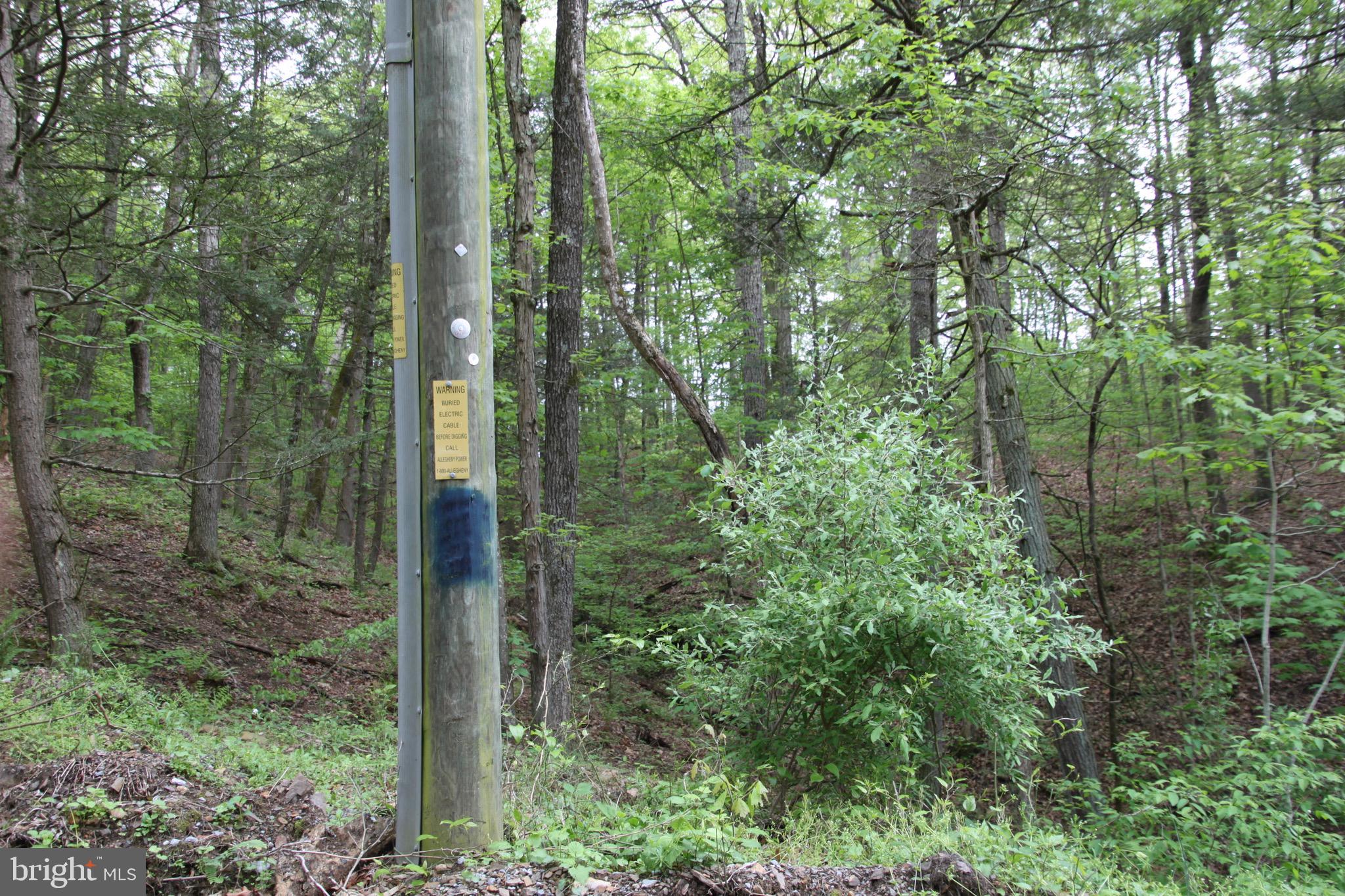 Slabtown Road Hancock, MD 21750 - Photo 15 of 20 a view of a forest with trees