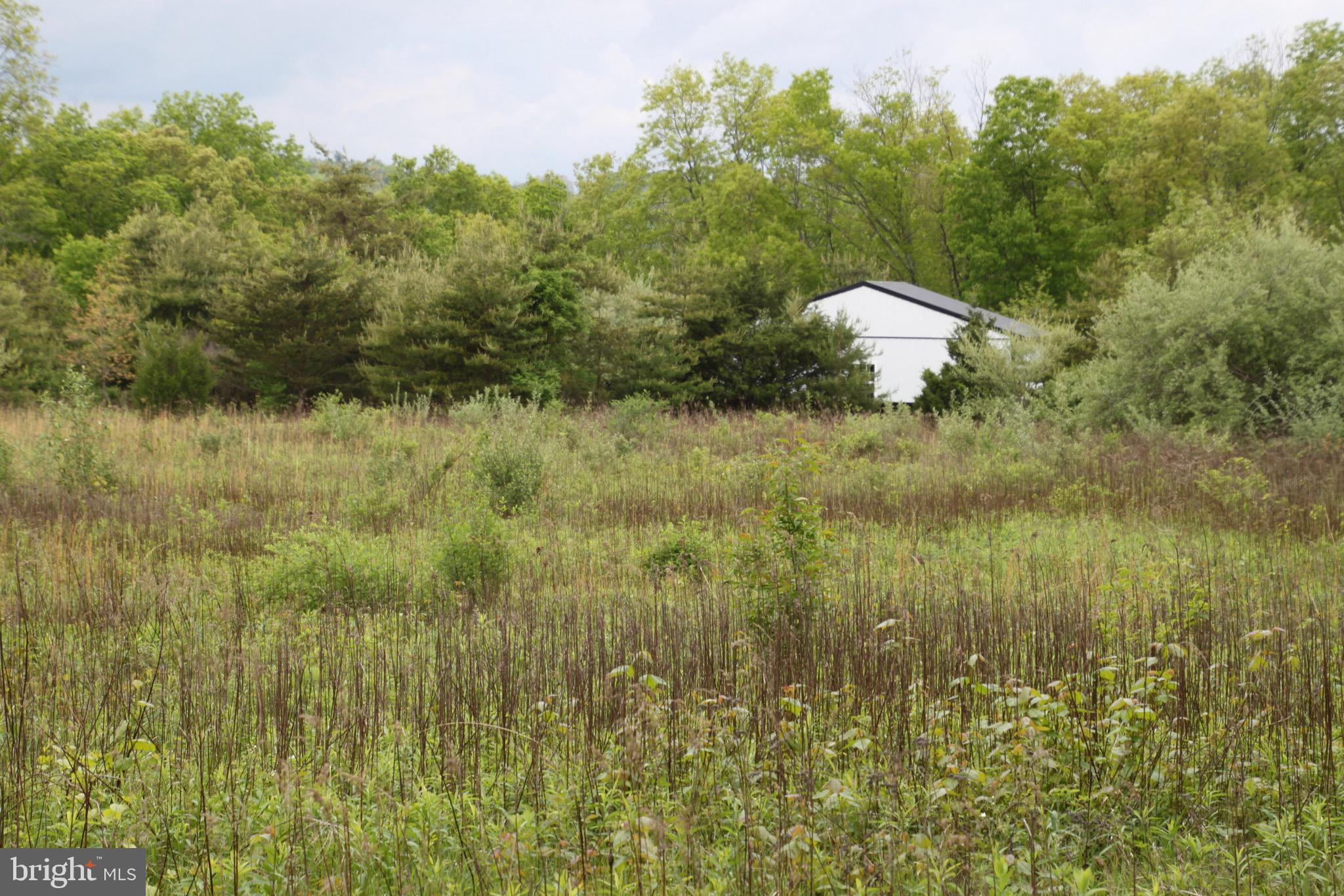 Slabtown Road Hancock, MD 21750 - Photo 6 of 20 a view of a lake and green valley