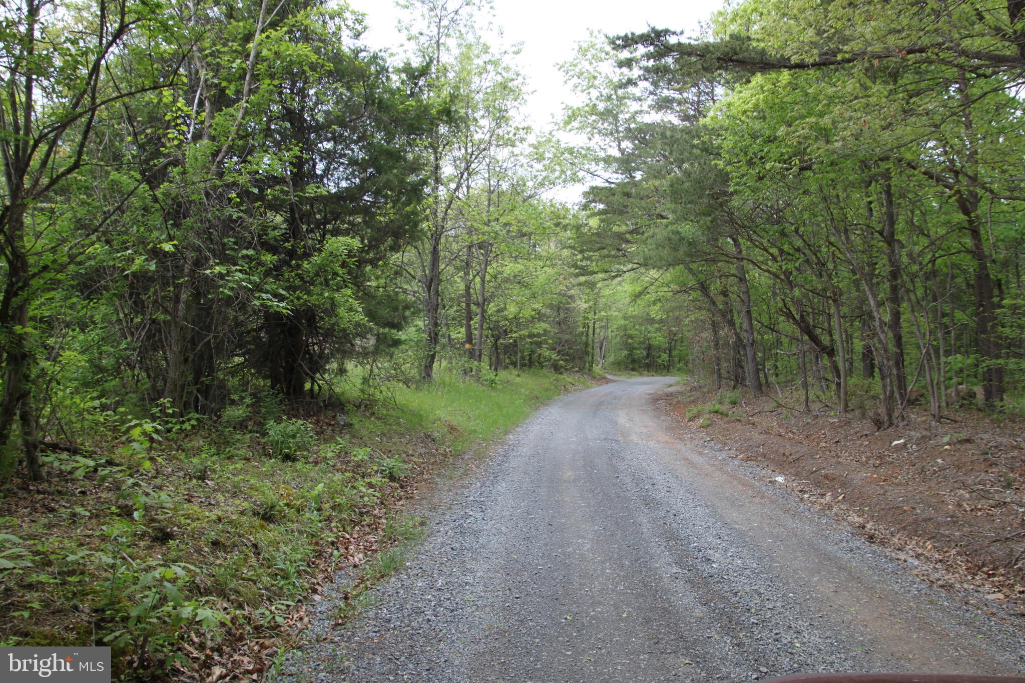 Slabtown Road Hancock, MD 21750 - Photo 7 of 20 a view of a road with trees in the background