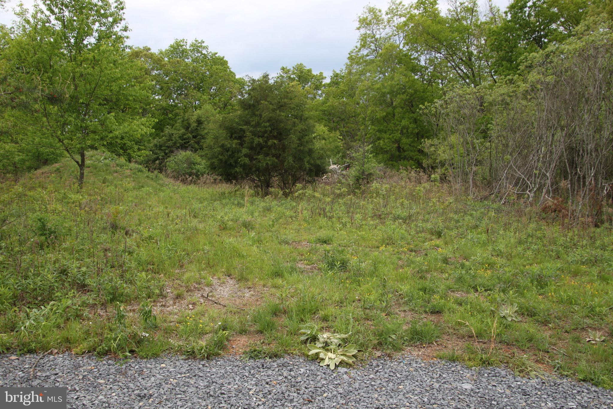 Slabtown Road Hancock, MD 21750 - Photo 10 of 20 a view of a field of grass and trees