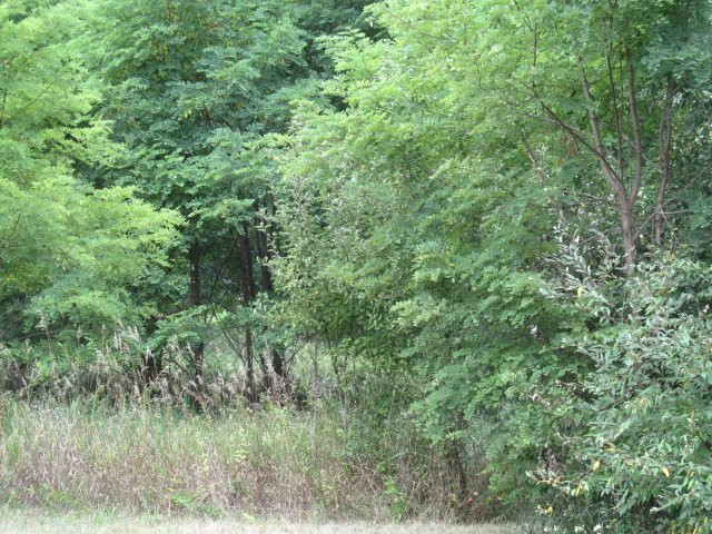 V/l Oakpoint Road Jackson, MI 49201 - Photo 4 of 11