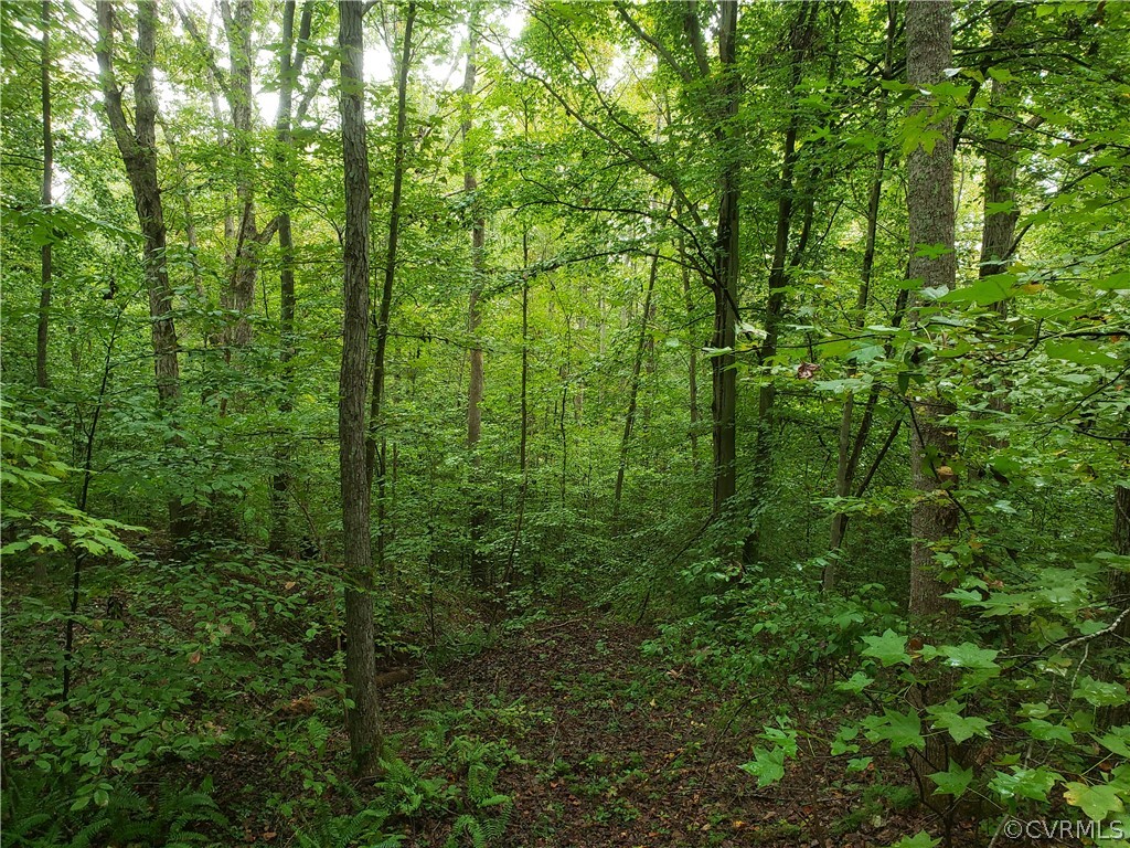 Gallery Image 6