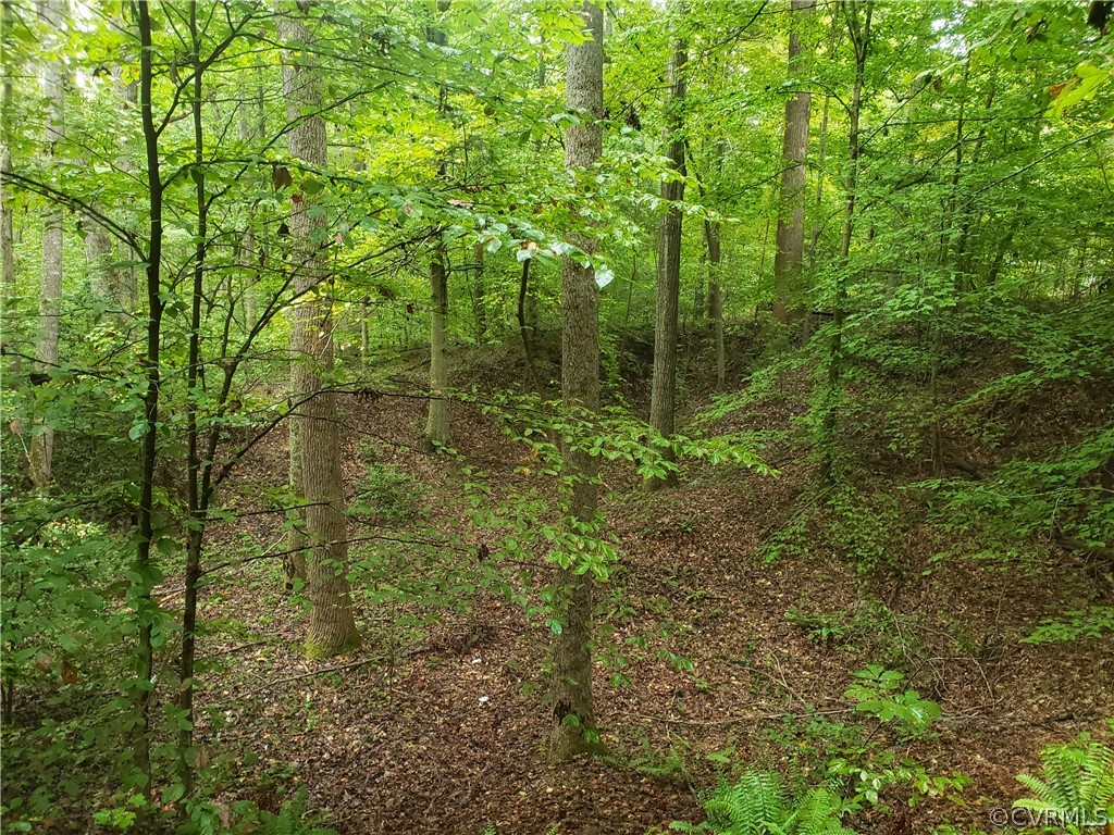 Gallery Image 7