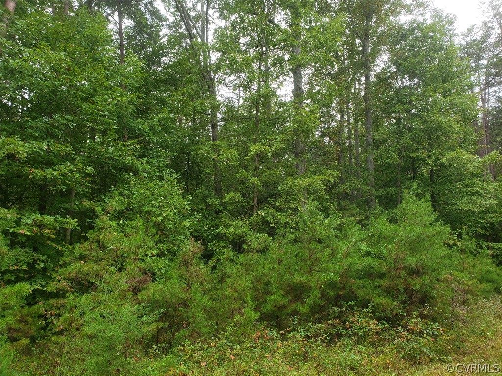 0 Halls Road Mineral, VA 23117 - Photo 8 of 11 Gallery Image 8