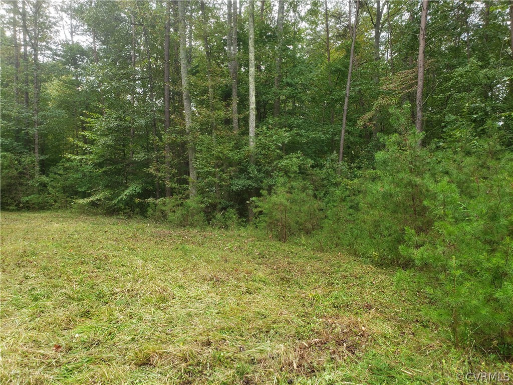 0 Halls Road Mineral, VA 23117 - Photo 9 of 11 Gallery Image 9