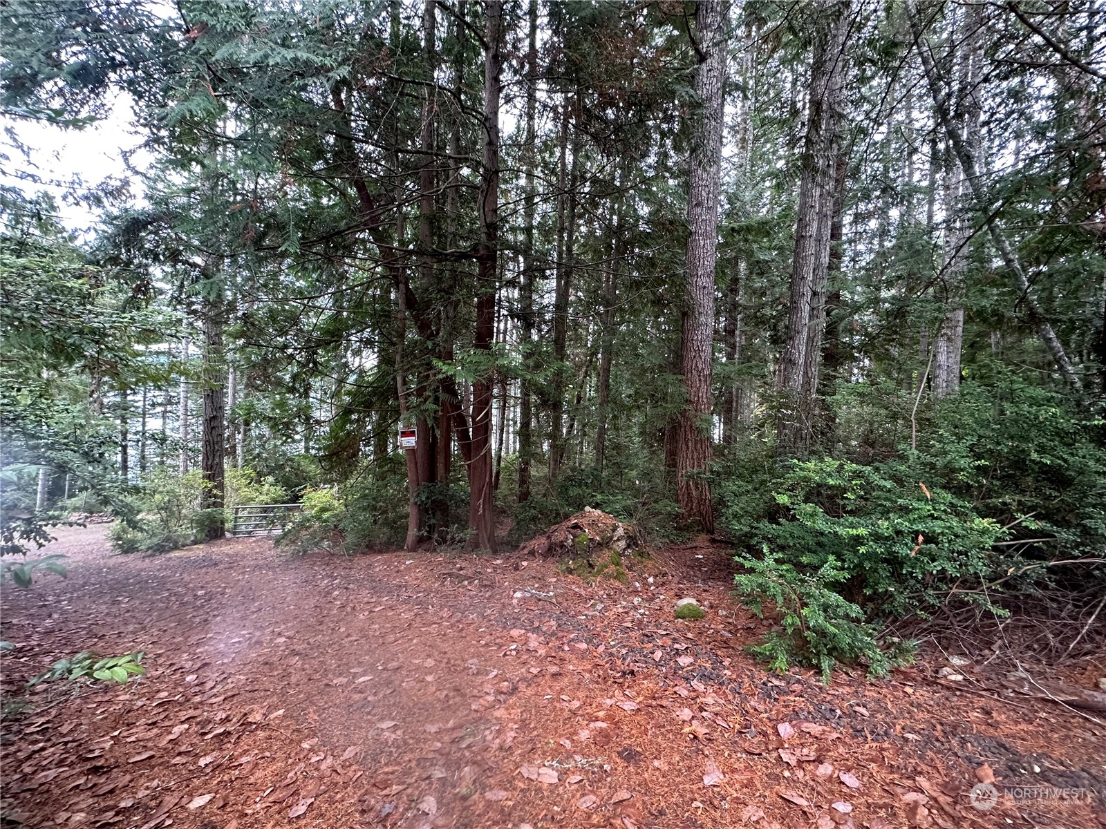 0 Misery Point Road Northwest Seabeck, WA 98380 - Photo 2 of 7 a view of a forest with trees in the background