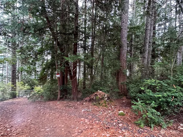 a view of a forest with trees in the background