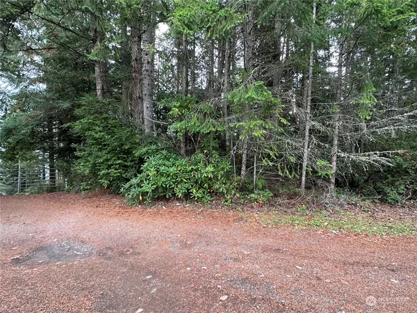 a view of a field with trees in the background