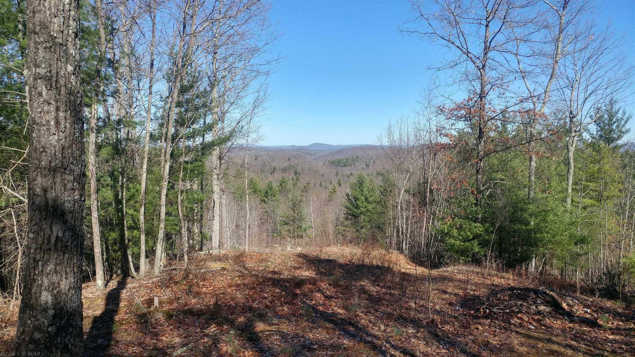 Lot 4-5 Fishers View Road Shawsville, VA 24162 - Photo 16 of 26 Gallery Image 16