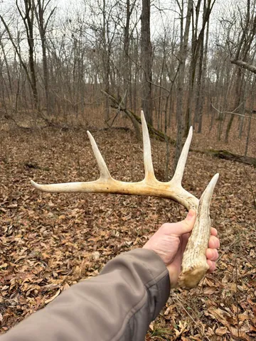 a view of a dry yard with wooden fence