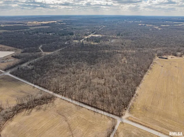 a view of a outdoor space with trees