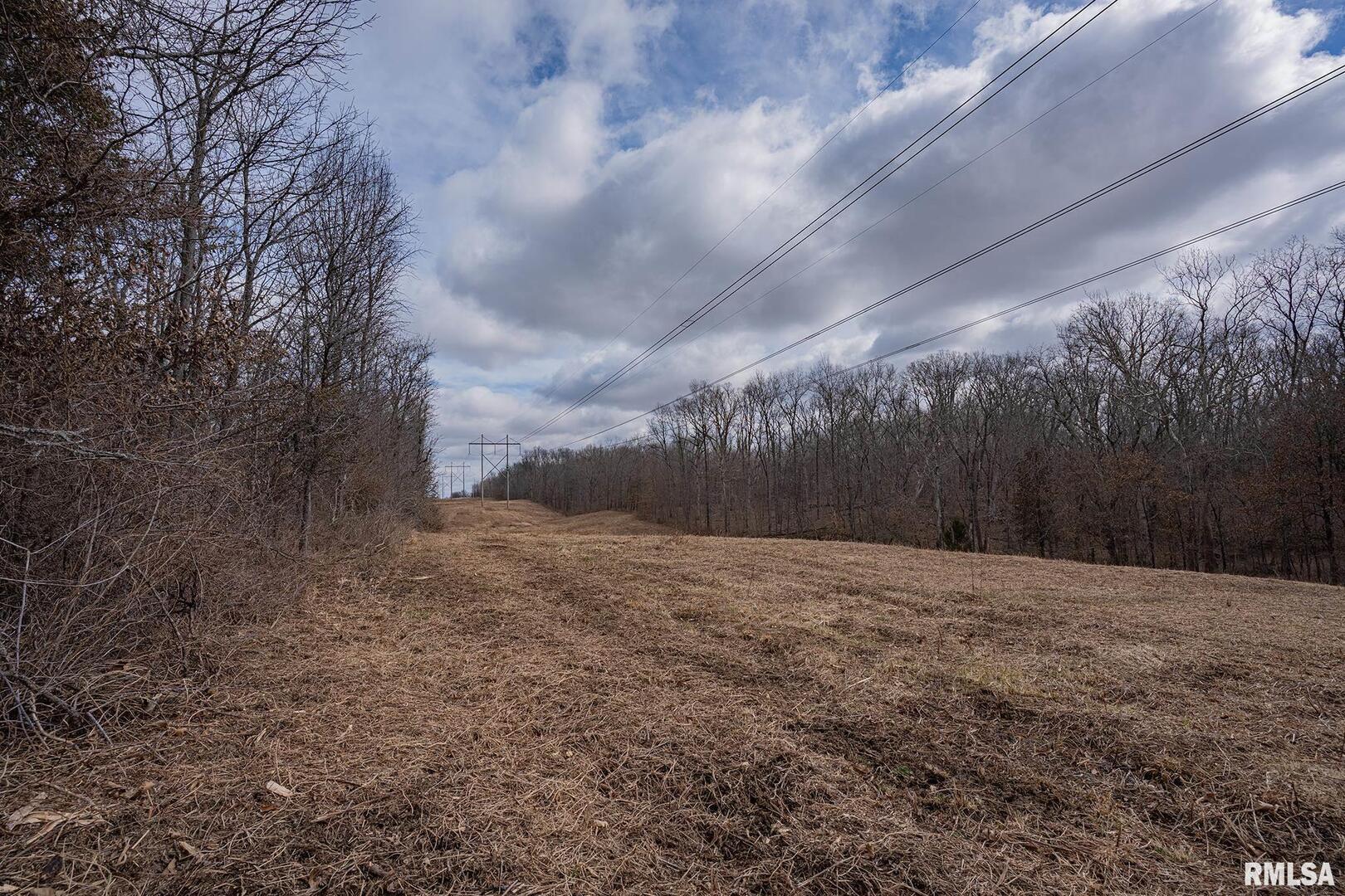 0 East Beal Road Mount Vernon, IL 62864 - Photo 20 of 45 a view of backyard with green space