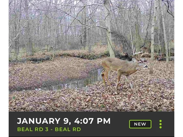 a view of an ocean and beach