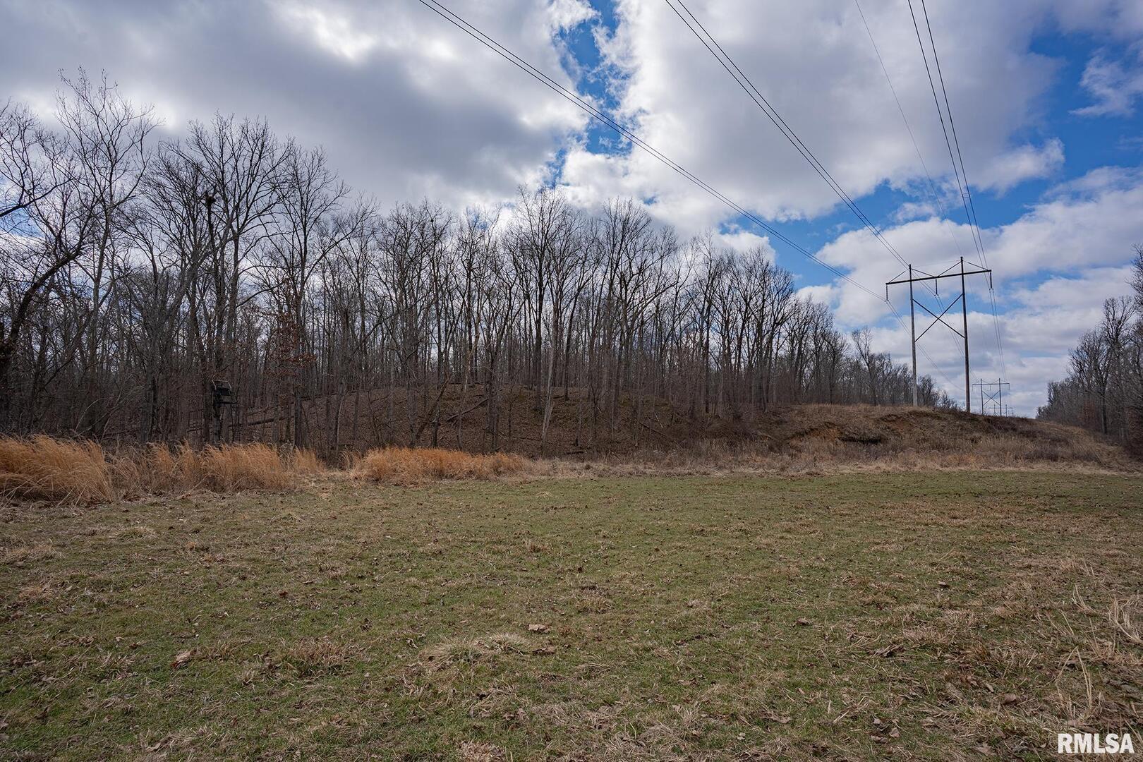0 East Beal Road Mount Vernon, IL 62864 - Photo 23 of 45 a view of a backyard