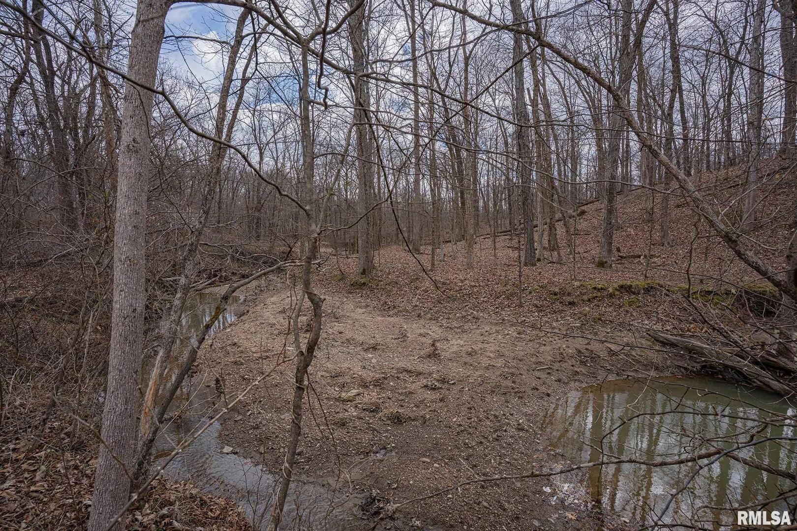 0 East Beal Road Mount Vernon, IL 62864 - Photo 24 of 45 a backyard of a house with lots of green space