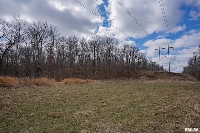 a view of a yard with a dry yard