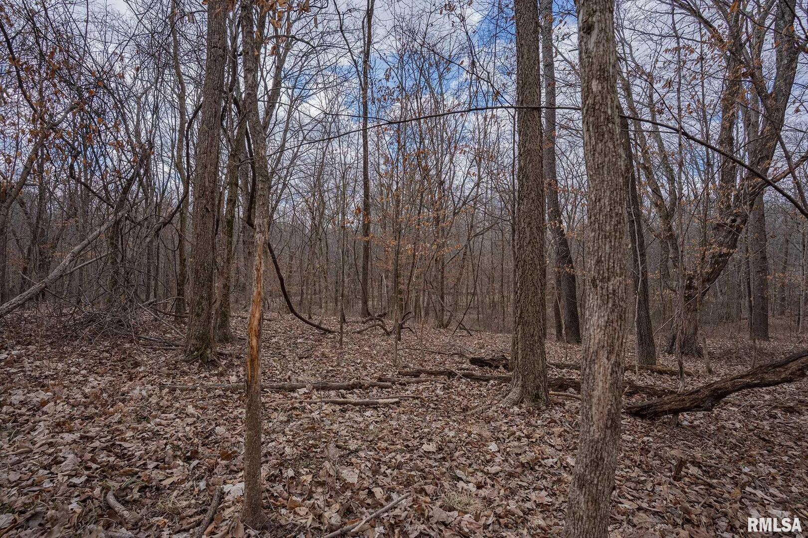 0 East Beal Road Mount Vernon, IL 62864 - Photo 26 of 45