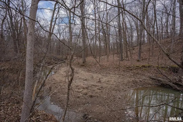 a view of a outdoor space with trees