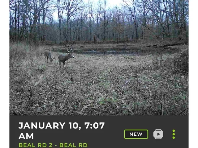 a view of an ocean beach