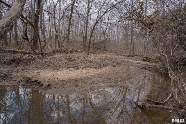 a view of a big yard with lots of green space