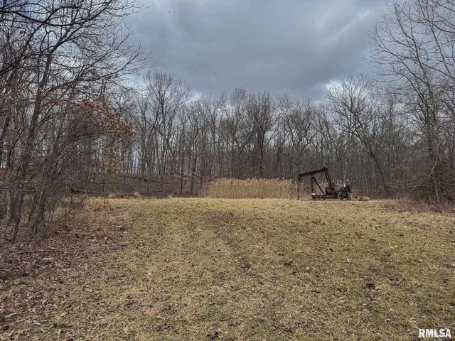 0 East Beal Road, Mount Vernon, IL 62864