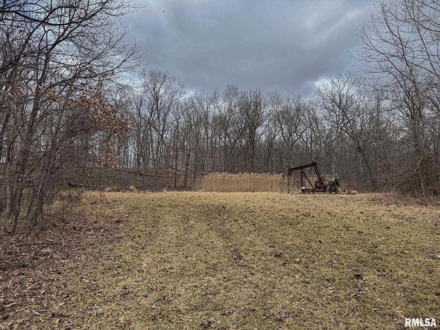 0 East Beal Road Mount Vernon, IL 62864 - Photo 33 of 45 a view of a outdoor space with trees