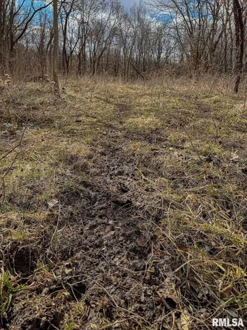 an aerial view of beach and trees
