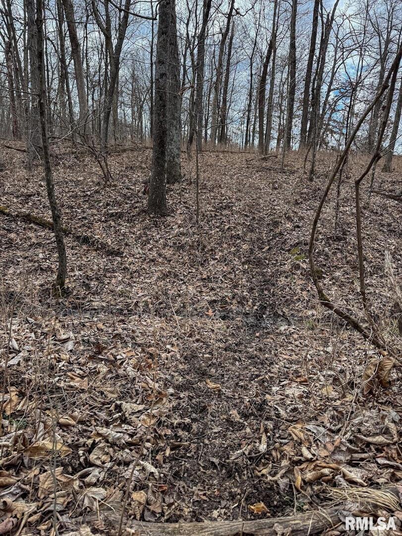 0 East Beal Road Mount Vernon, IL 62864 - Photo 35 of 45 a view of a yard with trees