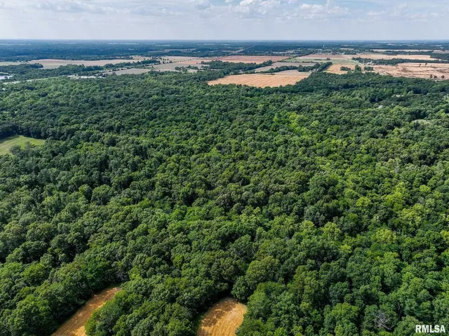 0 East Beal Road, Mount Vernon, IL 62864