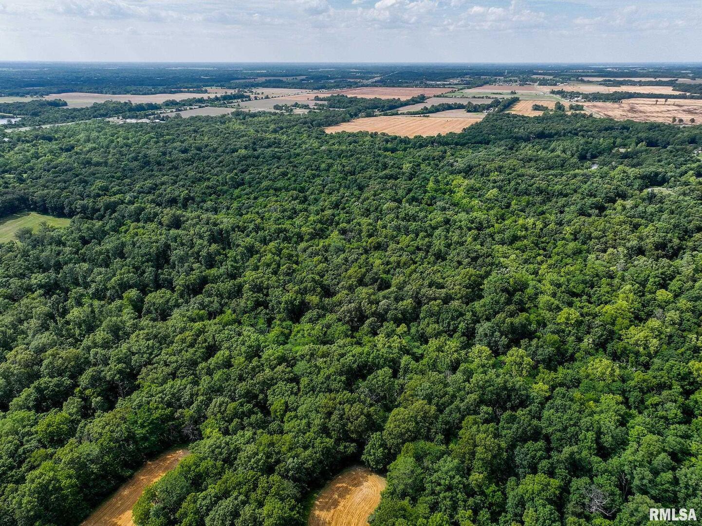 0 East Beal Road Mount Vernon, IL 62864 - Photo 36 of 45 an aerial view of a houses with a lake view