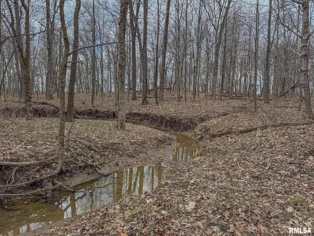 an aerial view of houses covered in trees