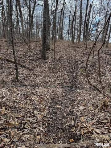 0 East Beal Road, Mount Vernon, IL 62864