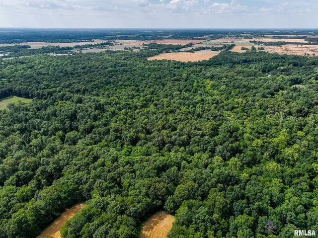 0 East Beal Road, Mount Vernon, IL 62864