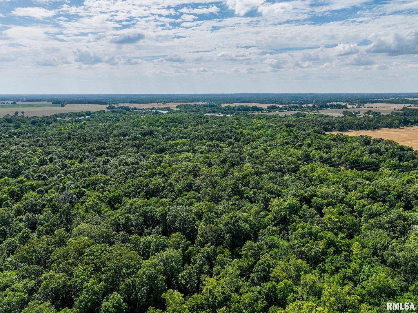 0 East Beal Road Mount Vernon, IL 62864 - Photo 40 of 45 an aerial view of beach and trees
