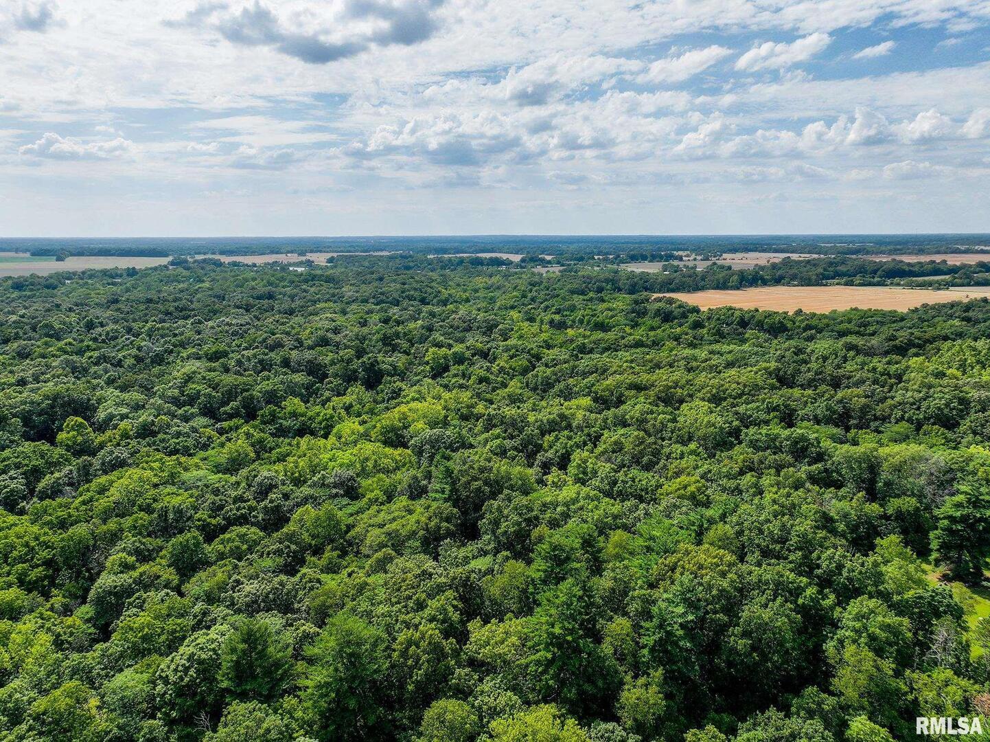 0 East Beal Road Mount Vernon, IL 62864 - Photo 43 of 45 a view of a field of grass and trees