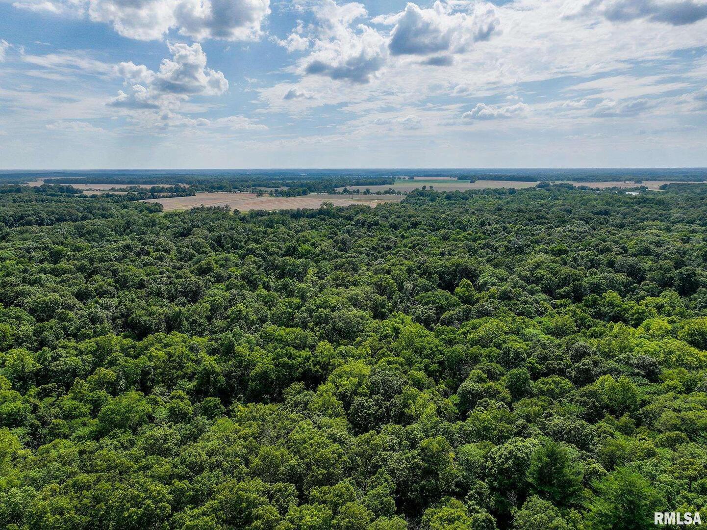 0 East Beal Road Mount Vernon, IL 62864 - Photo 44 of 45 an aerial view of a house with a yard