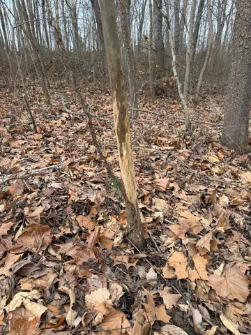 0 East Beal Road, Mount Vernon, IL 62864