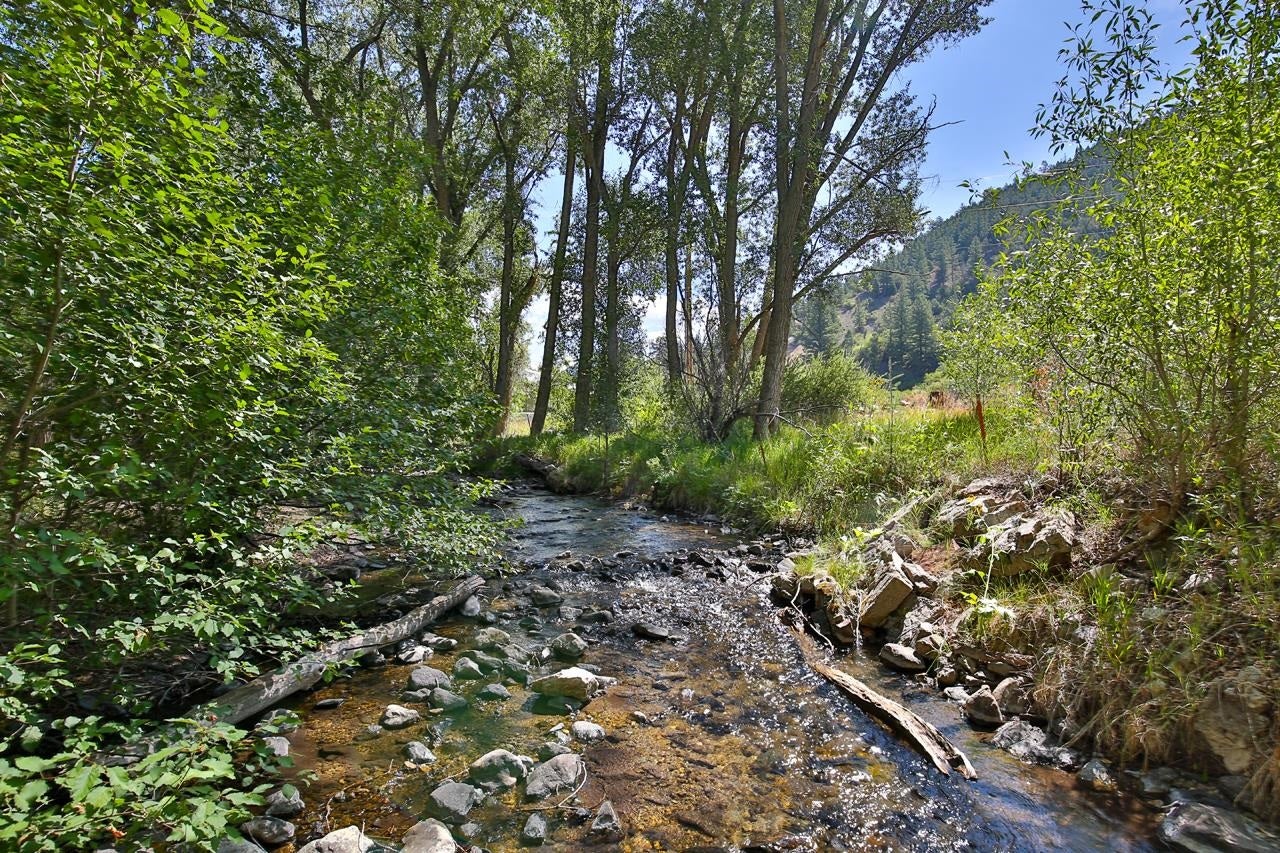 443 Cabresto Creek Road Questa, NM 87556 - Photo 32 of 49 Gallery Image 32