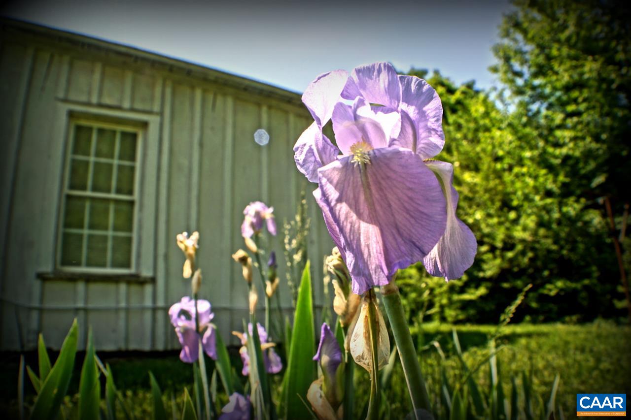 8817 Mission Home Road Free Union, VA 22940 - Photo 2 of 50 Gallery Image 2